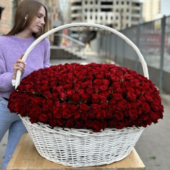 501 красная роза в корзине