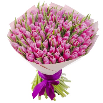 101 розовый тюльпан