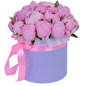 Букет из 21 розового пиона в фиолетовой шляпной коробке
