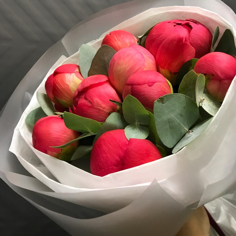 Букет из 9 коралловых пионов