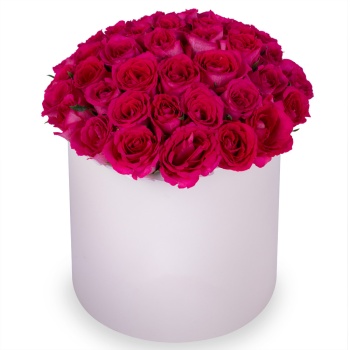 51 малиновая роза в кремовой шляпной коробке