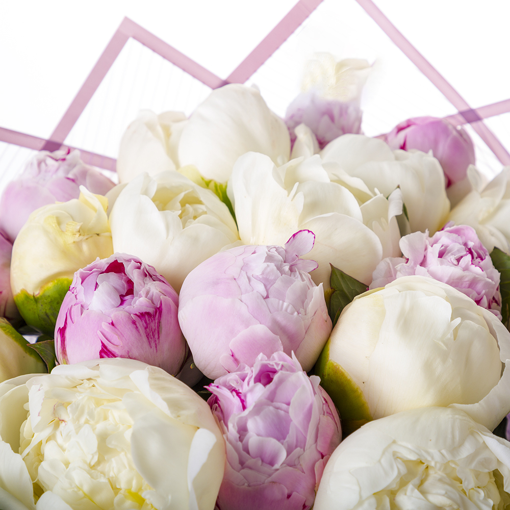 Букет из 19 разноцветных пионов