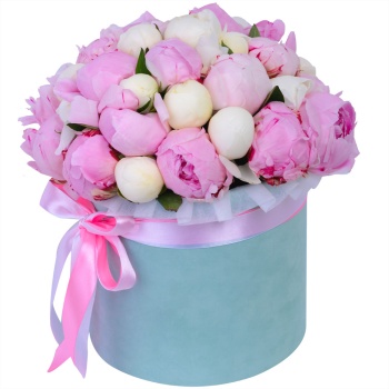 Букет из 35 разноцветных пионов в зеленой бархатной шляпной коробке