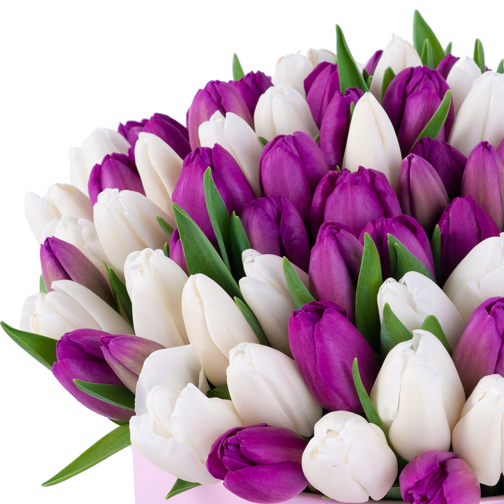 101 разноцветный тюльпан в розовой шляпной коробке