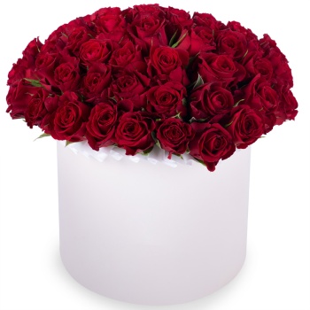 51 красная роза в кремовой шляпной коробке
