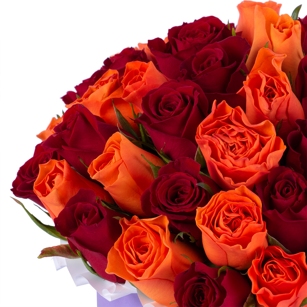 51 разноцветная роза в фиолетовой шляпной коробке