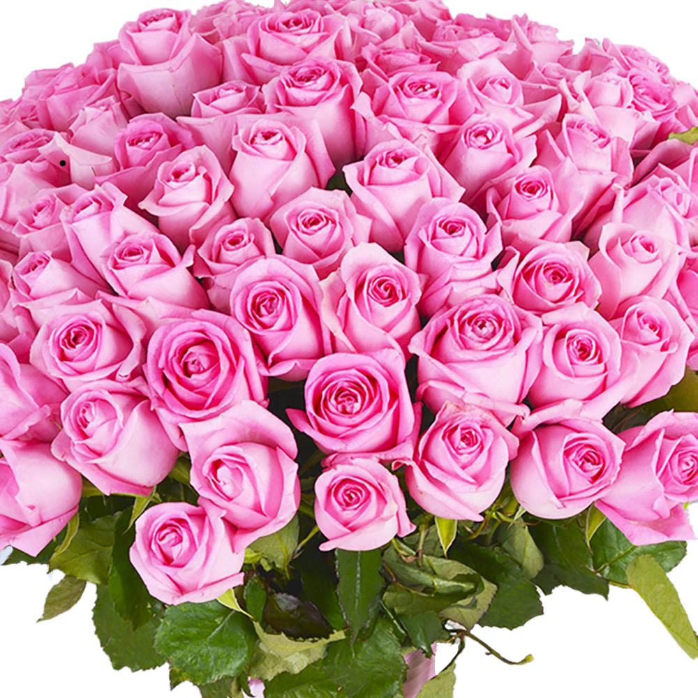 Букет из 101 розовой розы