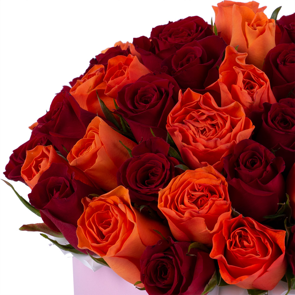 51 разноцветная роза в розовой шляпной коробке