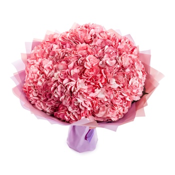 Букет из 15 розовых гортензий