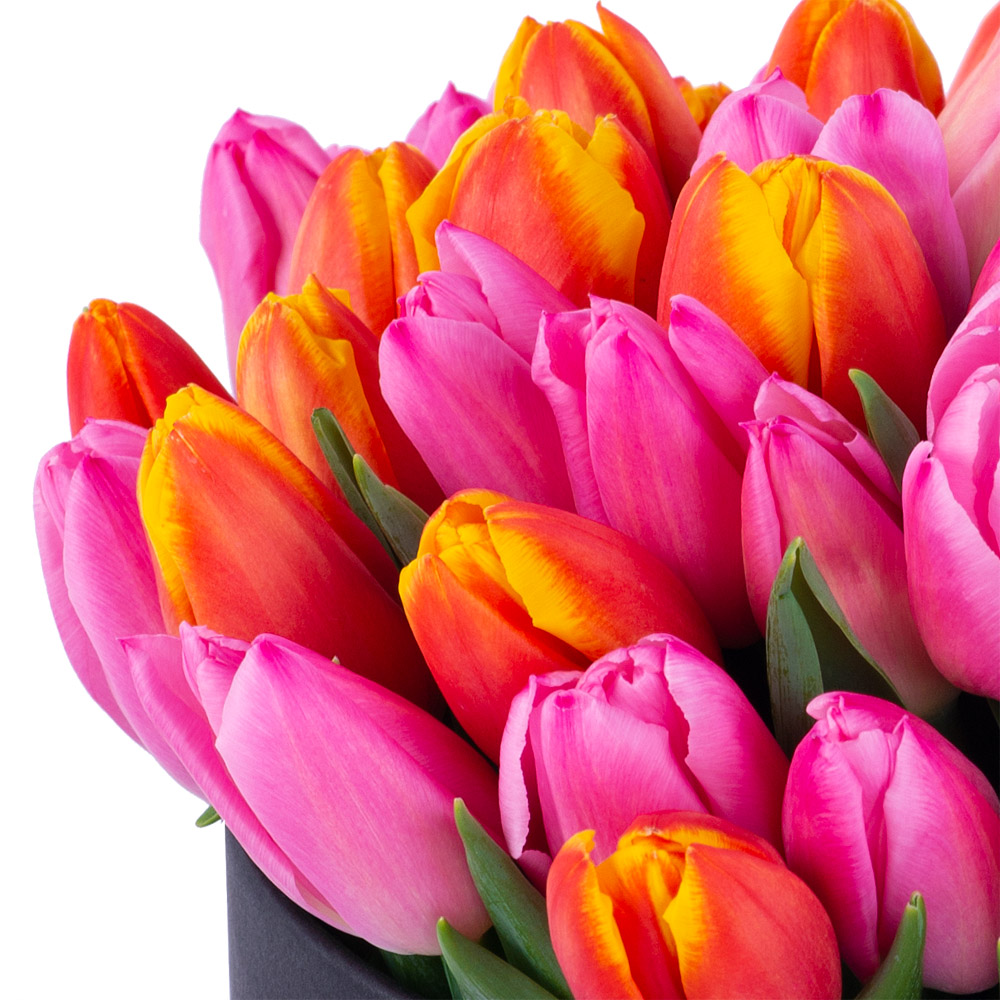 Букет микс из 51 тюльпана в черной шляпной коробке