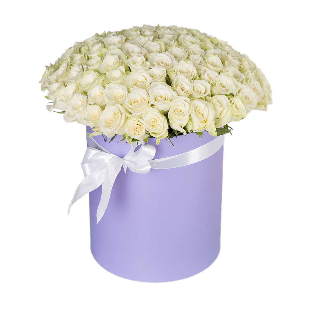 101 белая роза в шляпной коробке