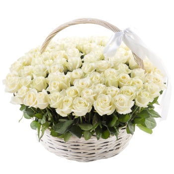 101 белая роза в корзине с лентой