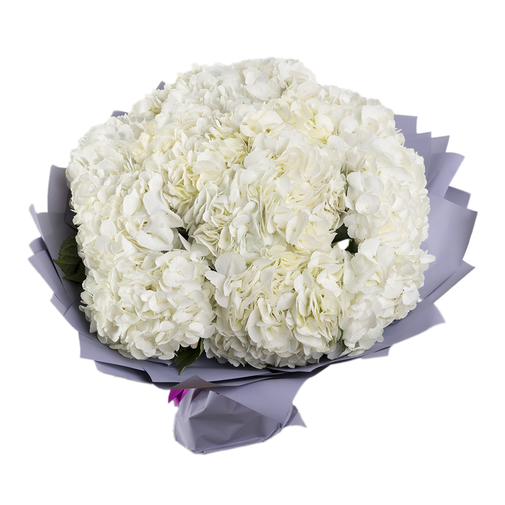 Букет из 15 белых гортензий
