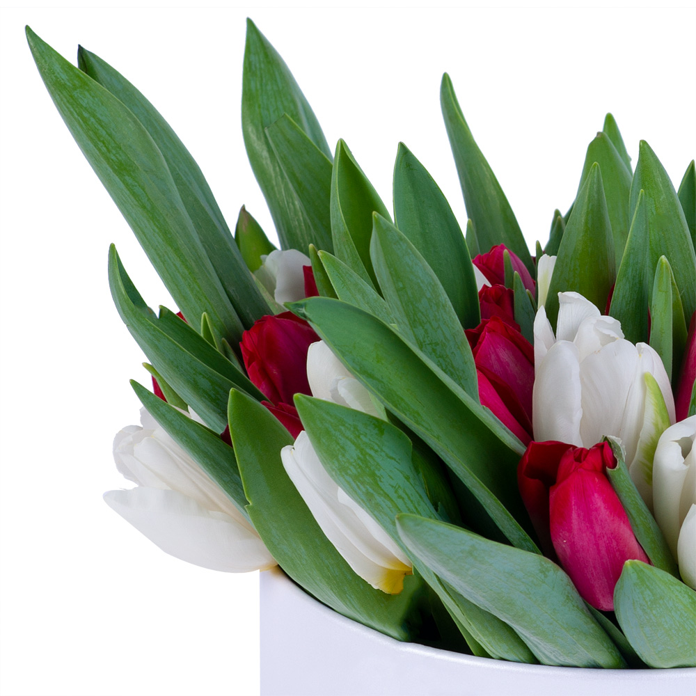 51 Разноцветный тюльпан в белой шляпной коробке