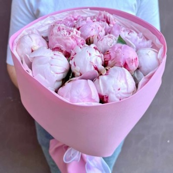 Букет из 11 нежно-розовых пионов