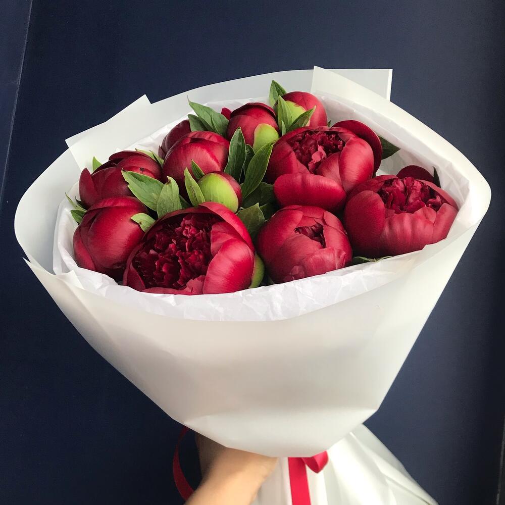 Букет из 11 бордовых пионов