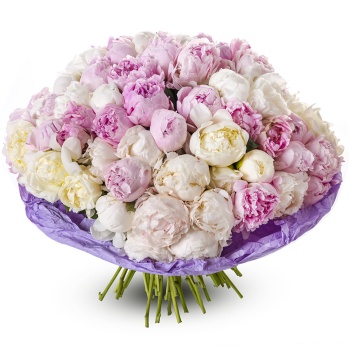 Букет из 101 разноцветного пиона