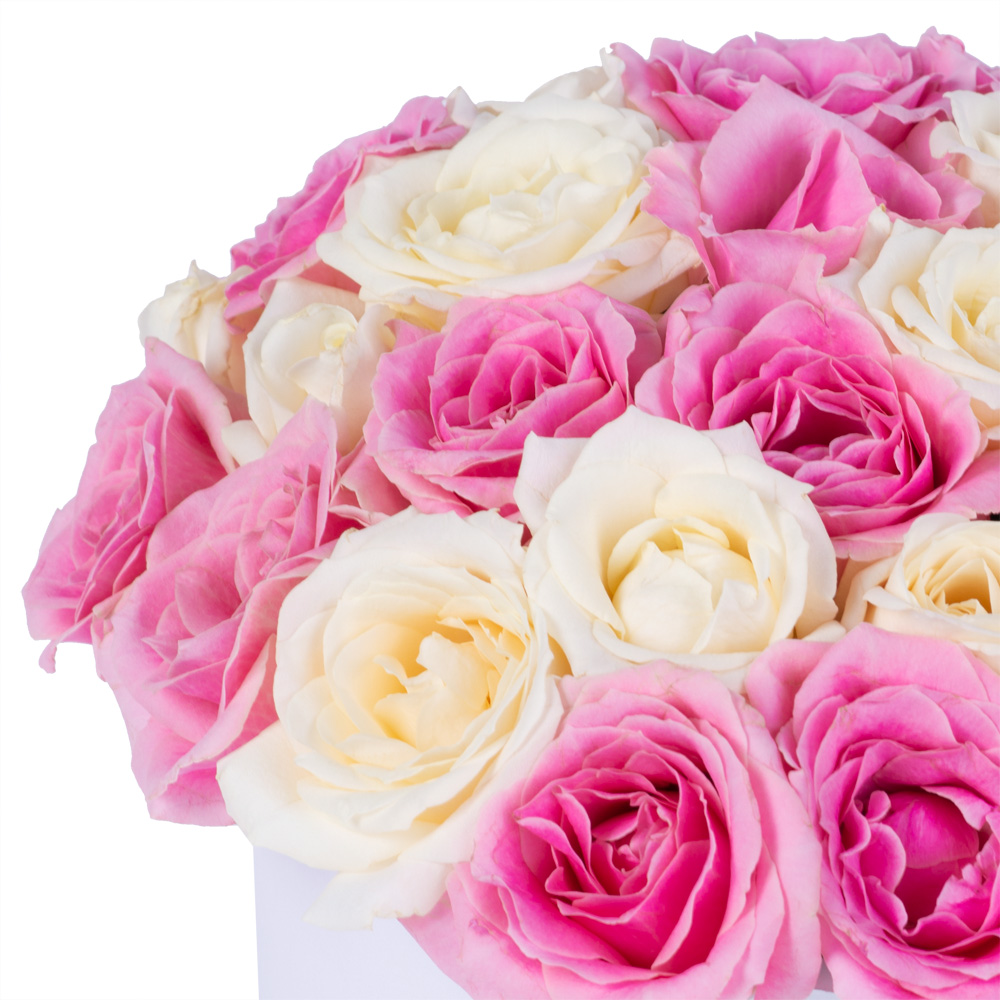 25 разноцветных роз premium в белой шляпной коробке