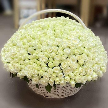 501 белая роза в корзине