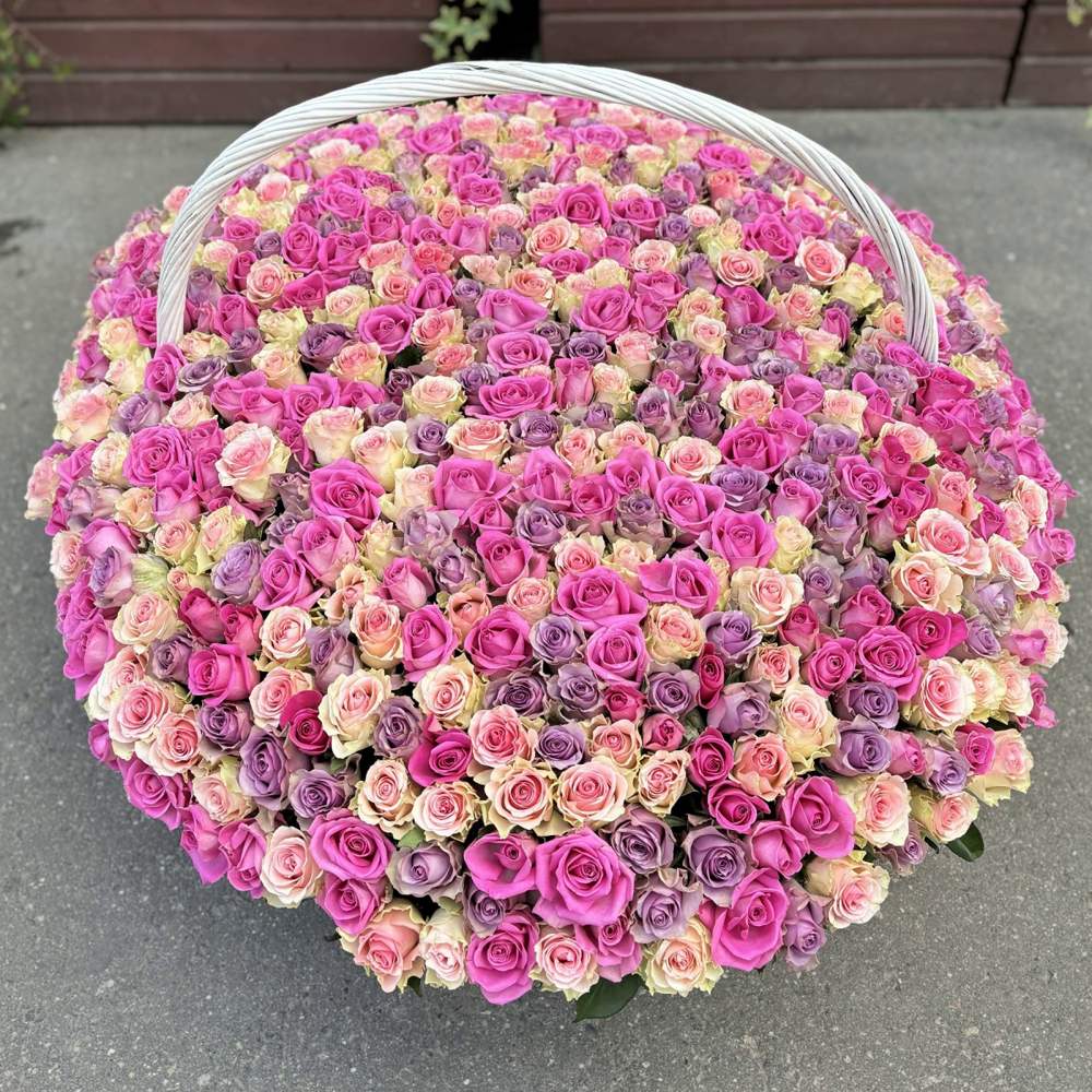 501 роза в корзине нежный Микс