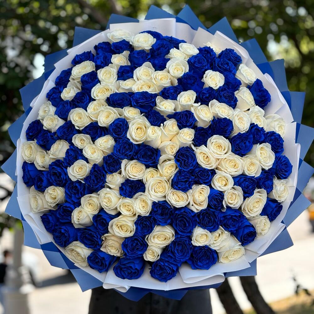 Букет из 101 синей и белой розы