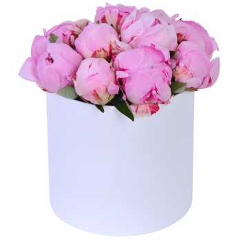 Букет из 11 розовых пионов в белой шляпной коробке