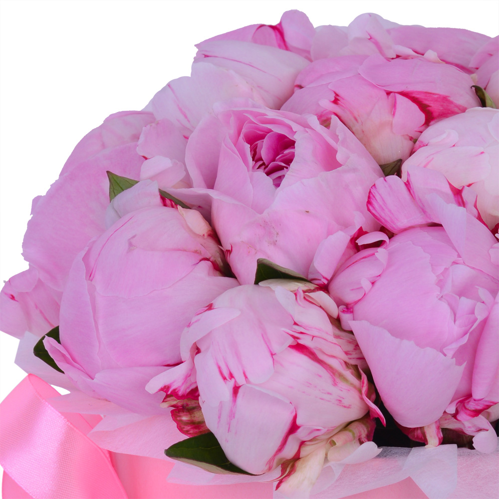 Букет из 19 розовых пионов в розовой шляпной коробке