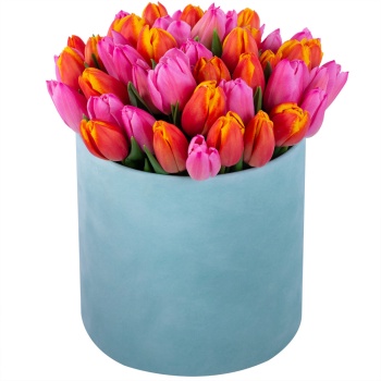 Букет микс из 51 тюльпана в зеленой бархатной шляпной коробке