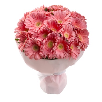 21 розовая гербера