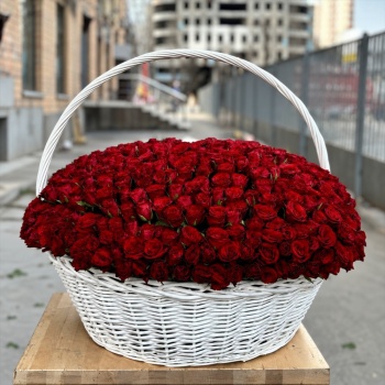 501 красная роза в корзине