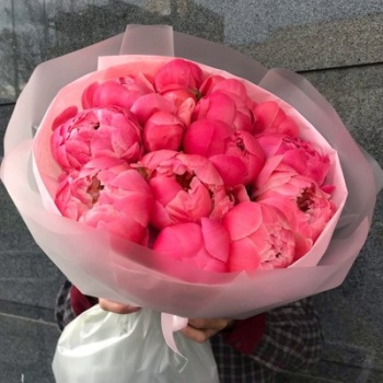 Букет из 15 коралловых пионов