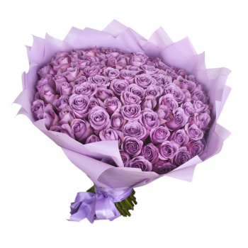 101 cиреневая роза