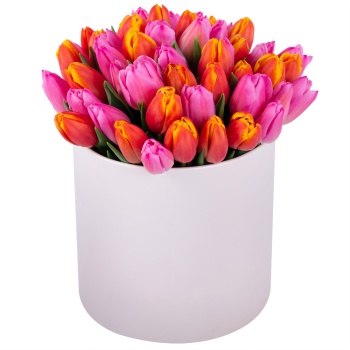 Букет микс из 51 тюльпана в кремовой шляпной коробке