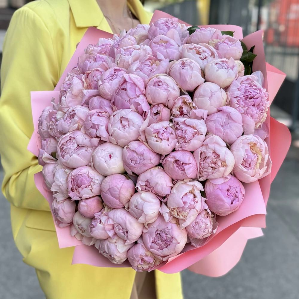 Букет из 51 нежно-розового пиона