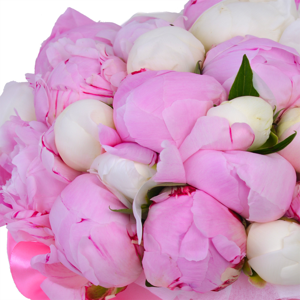 Букет из 35 разноцветных пионов в розовой шляпной коробке