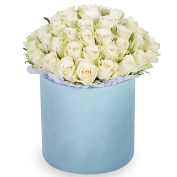 Букет из 75 белых роз в зеленой бархатной шляпной коробке