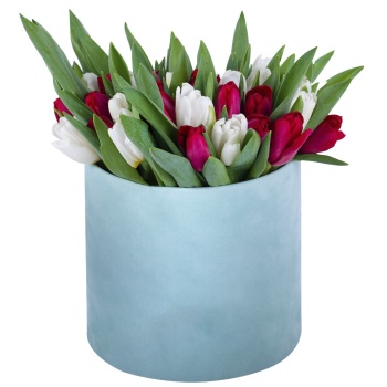 51 Разноцветный тюльпан в зеленой бархатной шляпной коробке