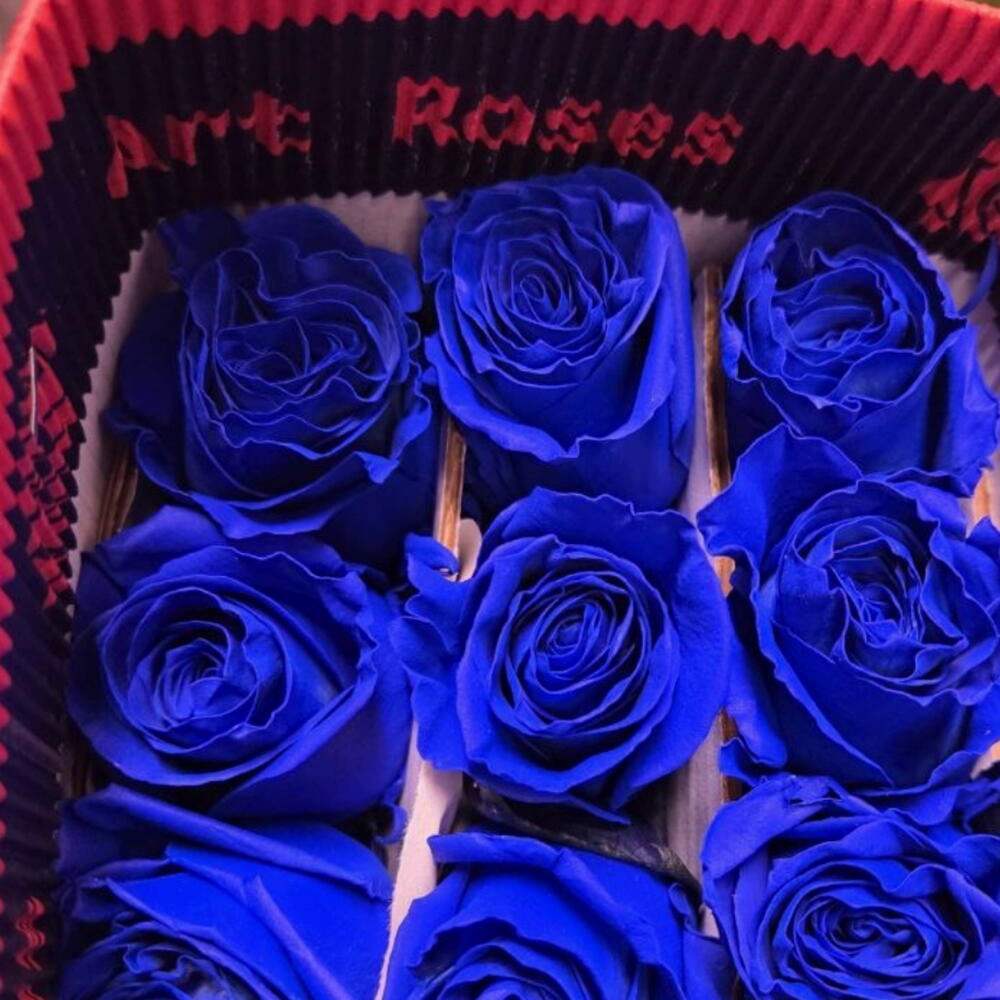 Букет из 25 синих роз Эквадор