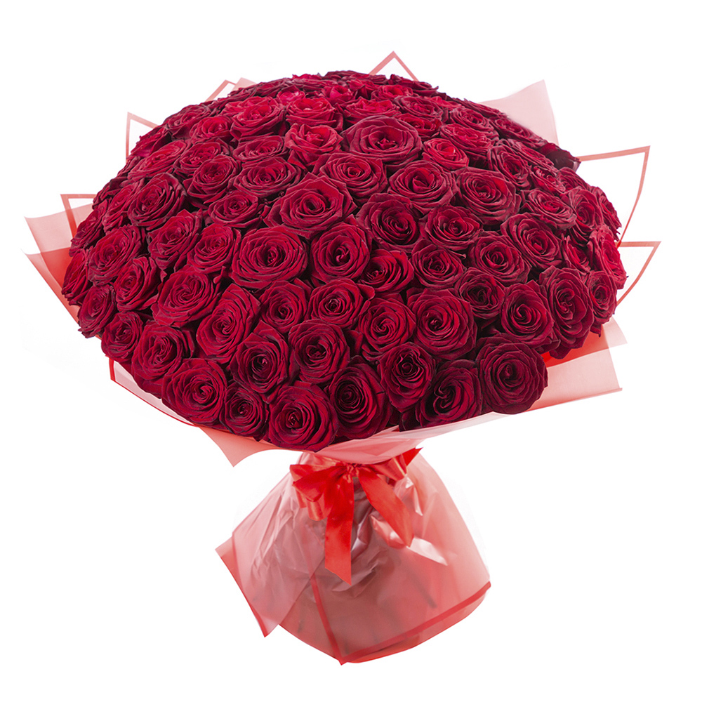 101 красная роза Premium 60 см.