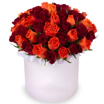 51 разноцветная роза в кремовой шляпной коробке