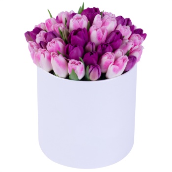 Разноцветный 51 тюльпан в белой шляпной коробке