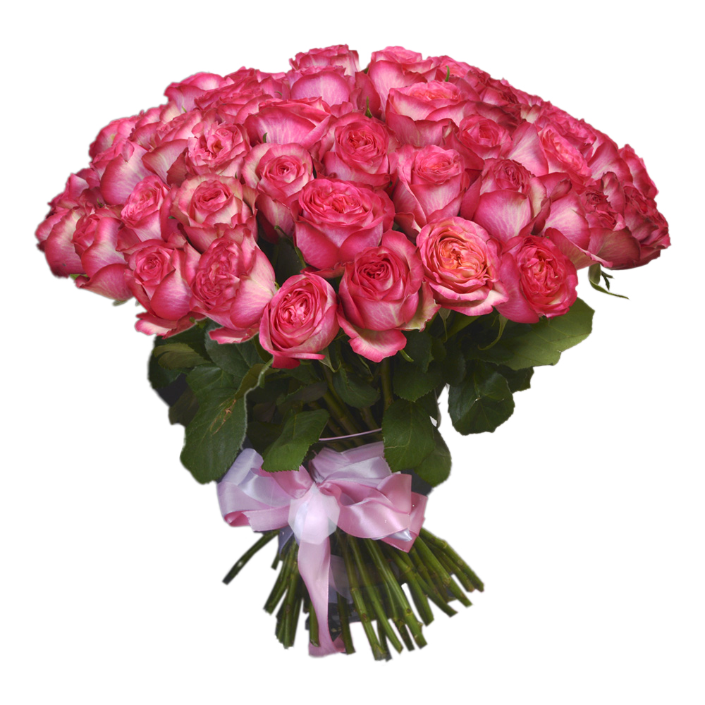 Букет из 51 розовой пионовидной одноголовой розы