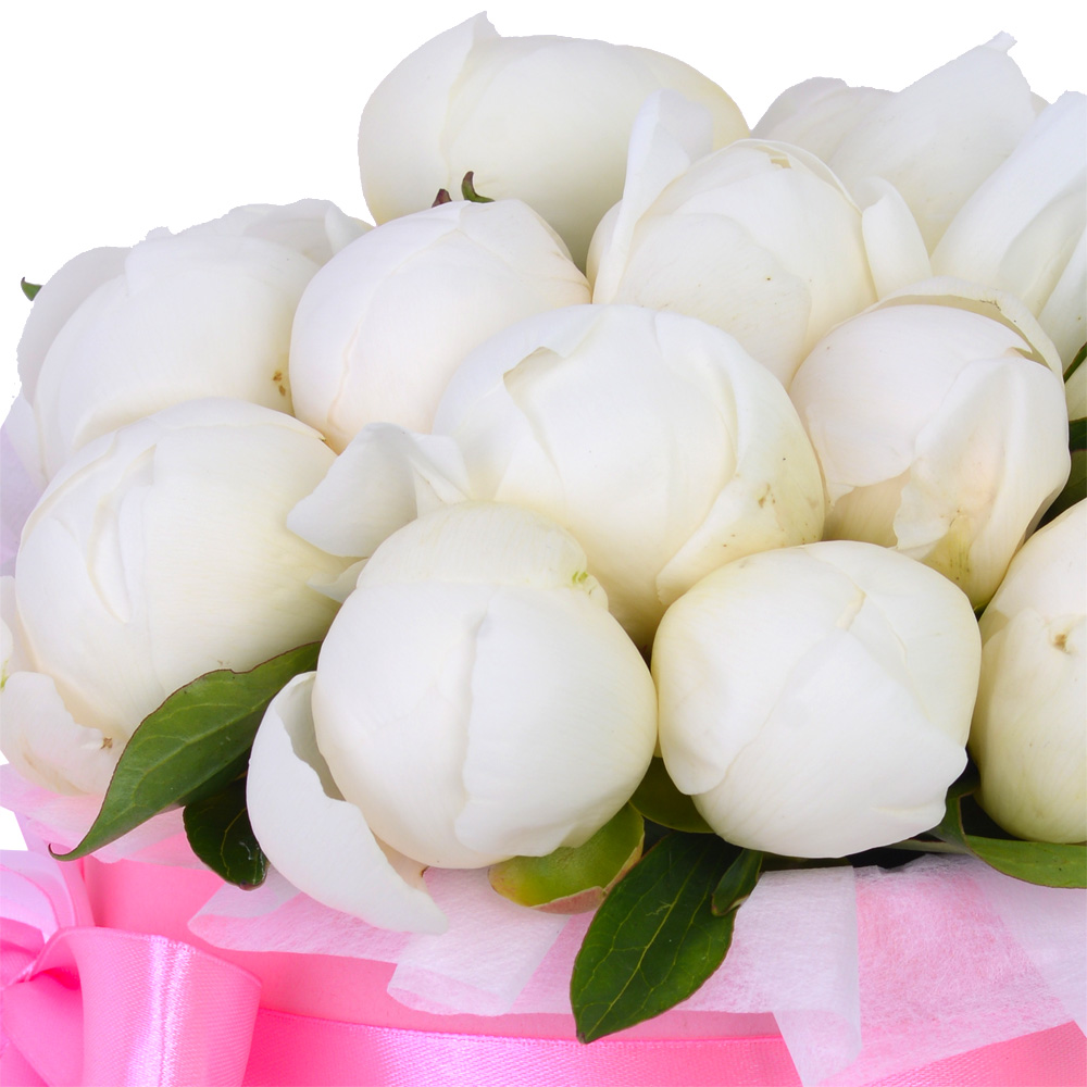 Букет из 15 белых пионов в розовой шляпной коробке