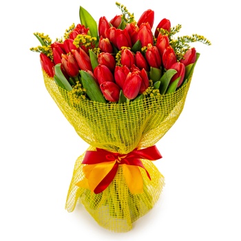 Букет из 35 красных тюльпанов