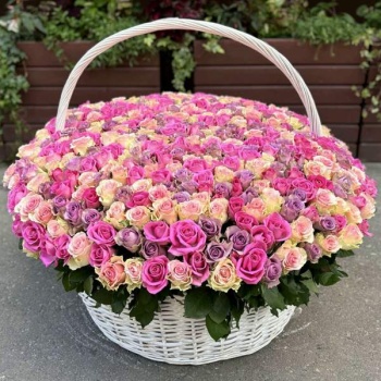 501 роза в корзине нежный Микс