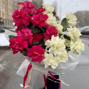 Французская красная и белая роза 21 шт.