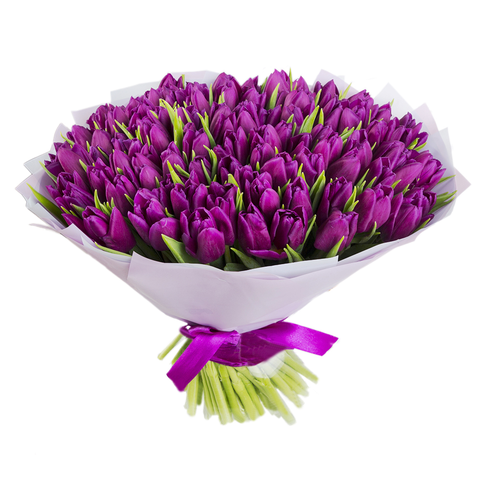 Букет из 101 сиреневого тюльпана