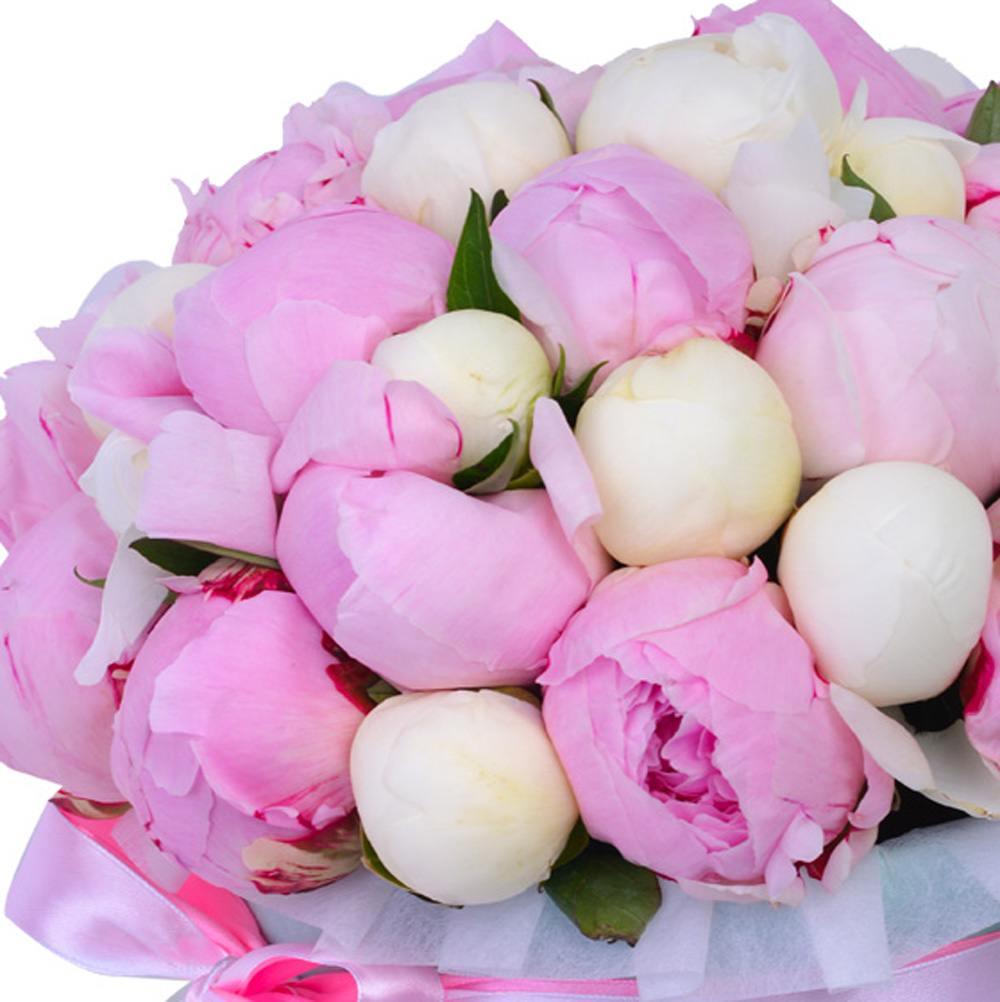 Букет из 35 разноцветных пионов в зеленой бархатной шляпной коробке