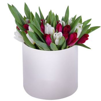 51 Разноцветный тюльпан в кремовой шляпной коробке