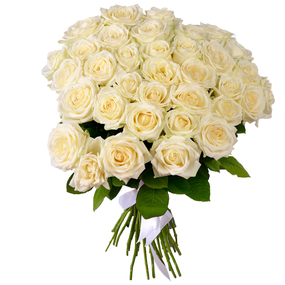 35 белых роз 50 см под ленту